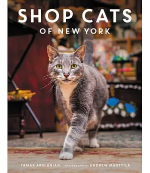 Shop Cats of New York