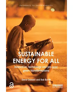 Sustainable Energy for All: Innovation, technology and pro-poor green transformations