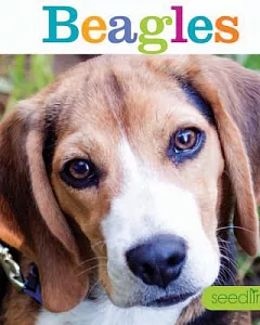 Beagles