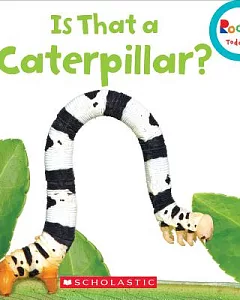 Is That a Caterpillar?