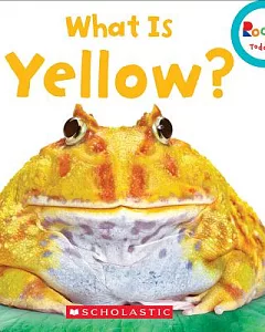 What Is Yellow?