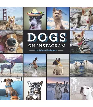 Dogs on Instagram