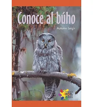 Conoce al buho/ An Owl, That’s Who