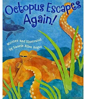 Octopus Escapes Again!