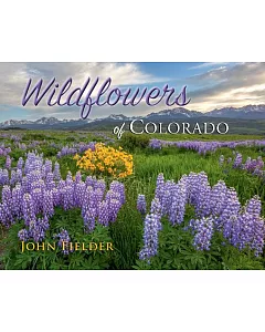 Wildflowers of Colorado