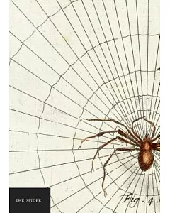 natural history museum - the Spider Notebook