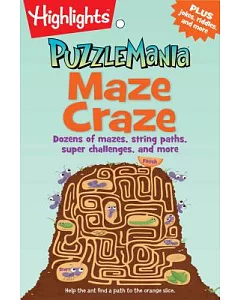 Puzzlemania Maze Craze