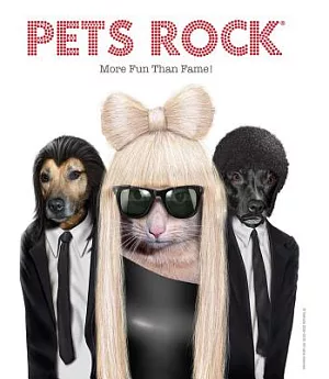 Pets Rock: More Fun Than Fame!