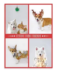 Festive Furry Friends Deluxe Holiday Notecards