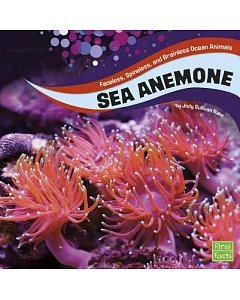 Sea Anemones