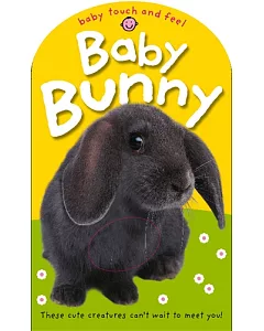 Bright Baby Touch & Feel Baby Bunny