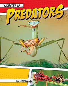 Insects As Predators