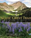 The Pacific Crest Trail: Exploring America’s Wilderness Trail