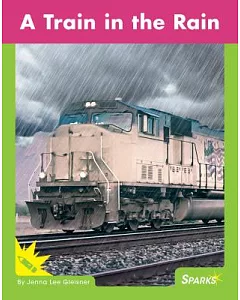 A Train in the Rain