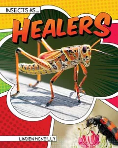 Insects As Healers