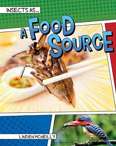 Insects As a Food Source