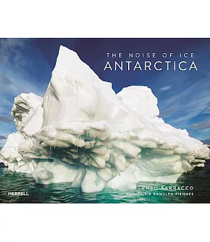 The Noise of Ice: Antarctica