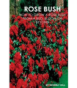 Rose Bush: Learn How to Grow a Rose Bush from a Bud, Bloom or Beyond