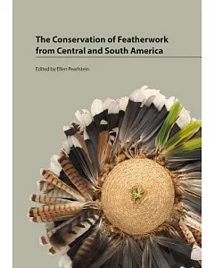 Conservation of Featherwork from Central and South America