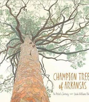 Champion Trees of Arkansas: An Artist’s Journey