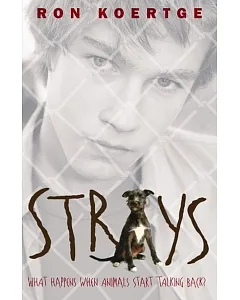 Strays