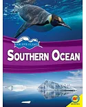 Southern Ocean