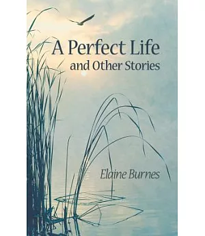 A Perfect Life and Other Stories