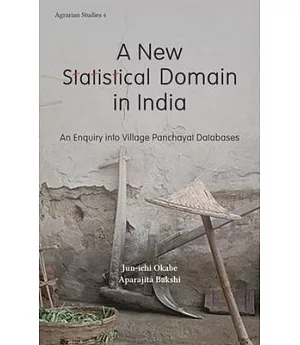 A New Statistical Domain in India: An Enquiry into Village Panchayat Databases