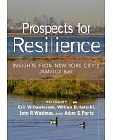 Prospects for Resilience: Insights from New York City’s Jamaica Bay