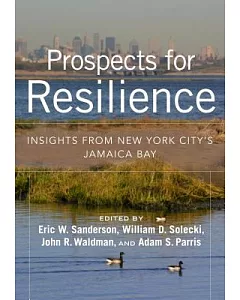 Prospects for Resilience: Insights from New York City’s Jamaica Bay