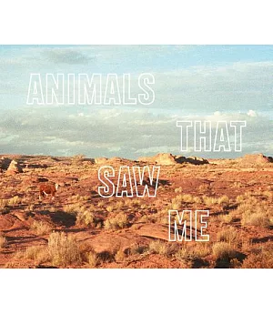 Animals That Saw Me