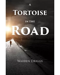 A Tortoise in the Road