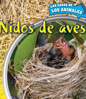 Nidos de aves / Inside Bird Nests
