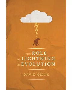The Role of Lightning in Evolution