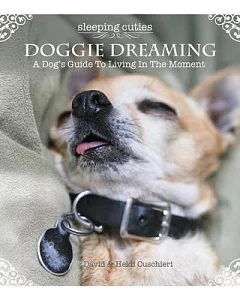 Doggie Dreaming: A Dog’s Guide to Living in The Moment