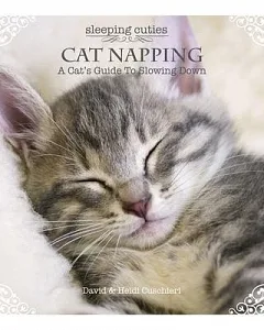 Cat Napping: A Cat’s Guide to Slowing Down
