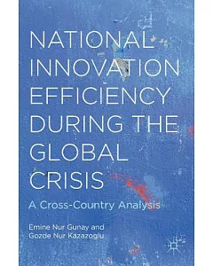 National Innovation Efficiency During the Global Crisis: A Cross-Country Analysis