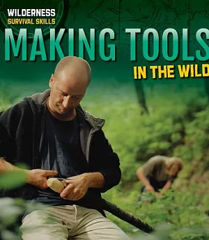 Making Tools in the Wild