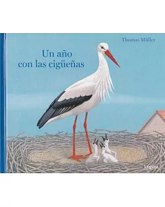 Un año con las cigüeñas/ A Year with the Storks