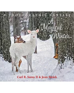 A Magical Winter: A Photographic Fantasy