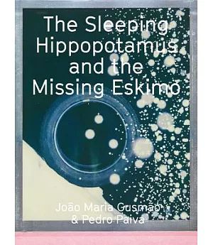 João Maria Gusmão & Pedro Paiva: The Sleeping Hippopotamus and the Missing Eskimo
