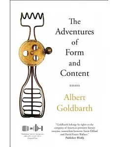 The Adventures of Form and Content: Essays