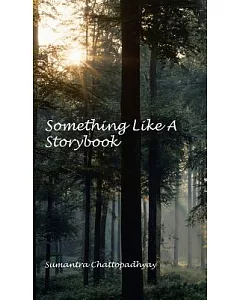 Something Like a Storybook