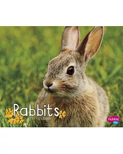 Rabbits