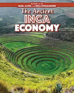 The Ancient Inca Economy
