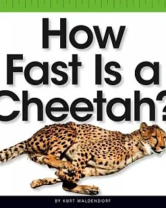 How Fast Is a Cheetah?