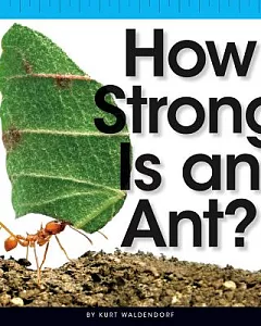 How Strong Is an Ant?