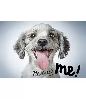 Rescue Me!: Dog Adoption Portraits and Stories from New York City