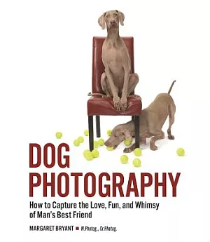 Dog Photography: How to Capture the Love, Fun, and Whimsy of Man’s Best Friend