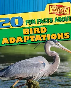20 Fun Facts About Bird Adaptations